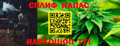 прущие грибы Кулебаки