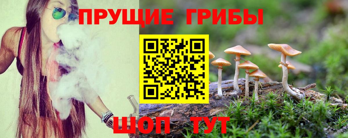 Псилоцибиновые грибы мицелий Ханты-Мансийск